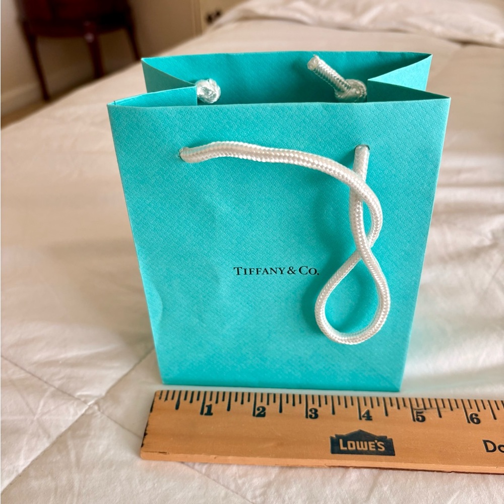 Teal Reusable Gift Bag
